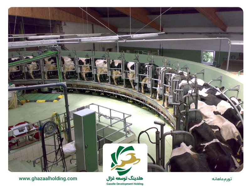 تورم ماهیانه