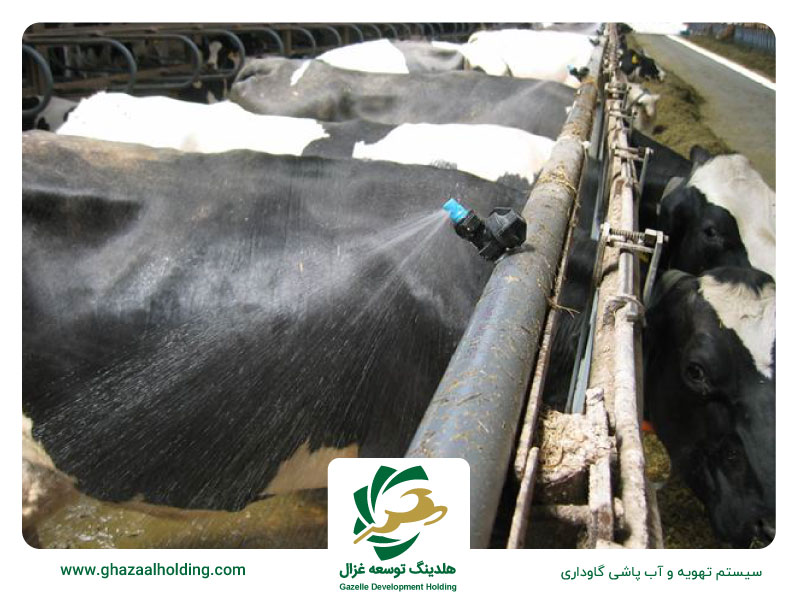 تهویه گاوداری