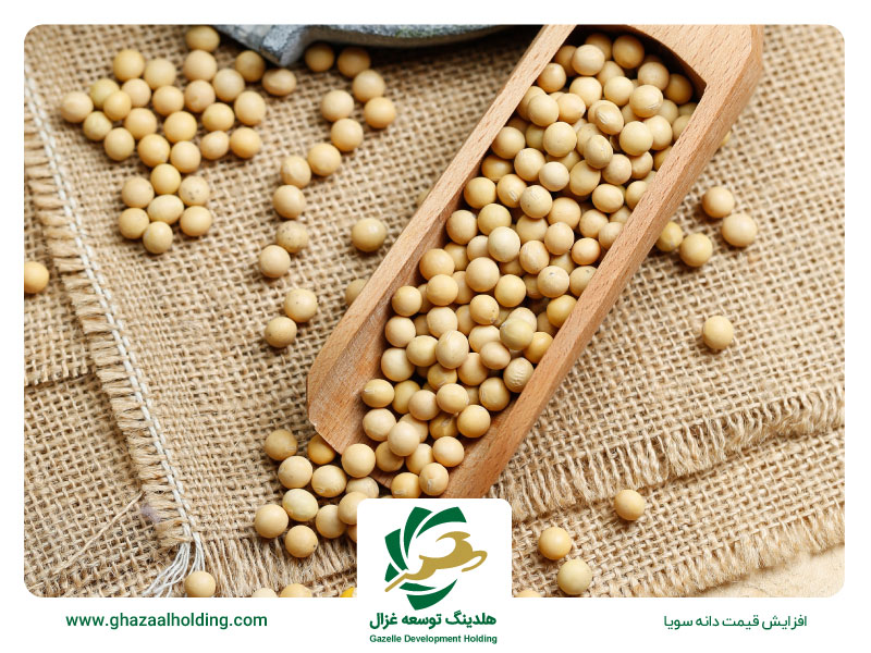 قیمت دانه سویا