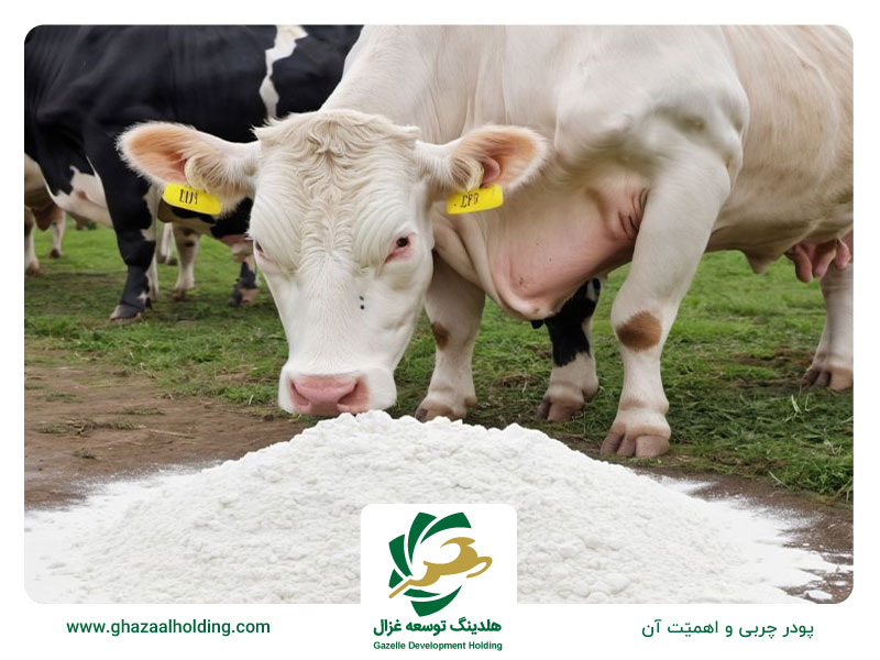 پچودرجربی و اهمیت آن