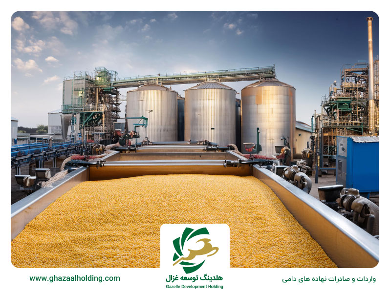 وارد کننده ذرت