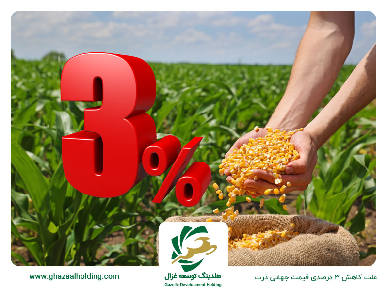 افت 3 درصدر قراردهای آتی ذرت در بورس شیکاگو