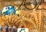 رویدادهای-بازار-جهانی-غلات-در-شروع-سال-۲۰۲۵
